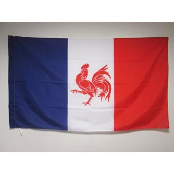 DRAPEAU MOUVEMENT WALLONIE FRANÍ?AISE 150x90cm - DRAPEAU WALLON FRANÍ?AIS 90 x 150 cm Fourreau pour hampe