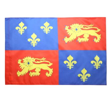 DRAPEAU LANDES 150x90cm - DRAPEAU DÍ?PARTEMENT LANDAIS 90 x 150 cm Fourreau pour hampe