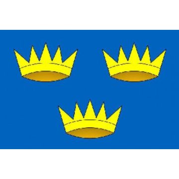 DRAPEAU MUNSTER 150x90cm - DRAPEAU IRLANDAIS - IRLANDE 90 x 150 cm - DRAPEAUX