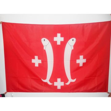 DRAPEAU PRINCIPAUTÍ? DE SALM-SALM 150x90cm - DRAPEAU COMTÍ? DE SALM - FRANCE 90 x 150 cm Fourreau pour hampe