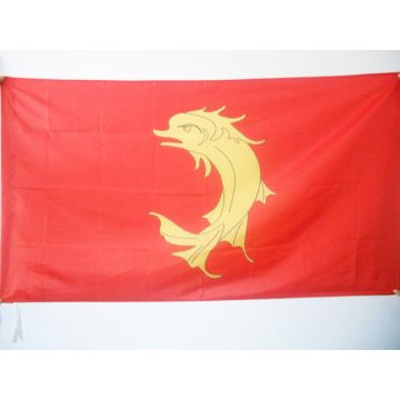 DRAPEAU COMTÍ? DE FOREZ 150x90cm - DRAPEAU FORÍ?ZIEN - SAINT-ETIENNE 90 x 150 cm Fourreau pour hampe