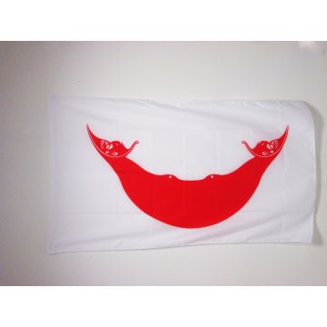 DRAPEAU Í?LE DE PÍ?QUES 90x60cm - DRAPEAU RAPA NUI - CHILI 60 x 90 cm Fourreau pour hampe