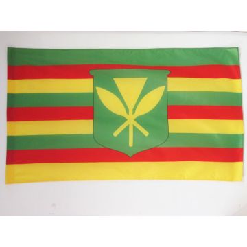 DRAPEAU HAWAII KANAKA MAOLI 150x90cm - DRAPEAU HAWAÏEN KANAK 90 x 150 cm Fourreau pour hampe