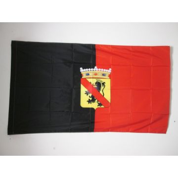 DRAPEAU PROVINCE DE NAMUR 150x90cm - DRAPEAU DE WALLONIE 90 x 150 cm Fourreau pour hampe