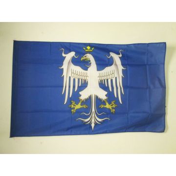 DRAPEAU DUCHÉ DE MODÈNE AVANT 1830 150x90cm - DRAPEAU ITALIEN ANCIEN - ITALIE 90 x 150 cm Fourreau pour hampe