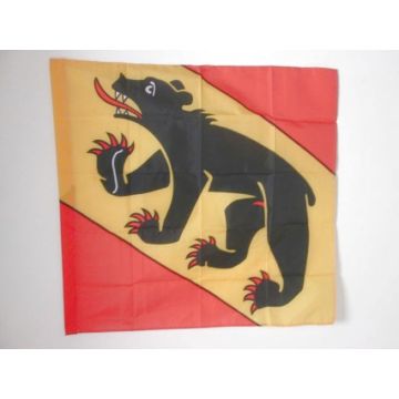 DRAPEAU CANTON DE BERNE 90x90cm - DRAPEAU BERN - BE SUISSE 90 x 90 cm Fourreau pour hampe