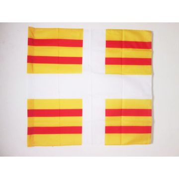 DRAPEAU ORDONNANCE DU RÍ?GIMENT DE BÍ?ARN 1684-1762 90x90cm - DRAPEAU BALAGNY 90 x 90 cm Fourreau pour hampe