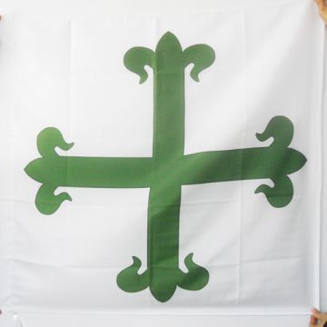 DRAPEAU ORDRE DE SAINT-BENOÍ?T Dâ??AVIZ 90x90cm - DRAPEAU CROIX FLEUR-DE-LYSÍ?E DE SINOPLE 90 x 90 cm Fourreau pour hampe