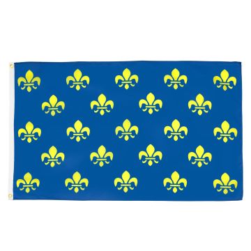 DRAPEAU FLEUR DE LYS BLEU ET OR 150x90cm - DRAPEAU ROYAL FRANÇAIS 90 x 150 cm - DRAPEAUX