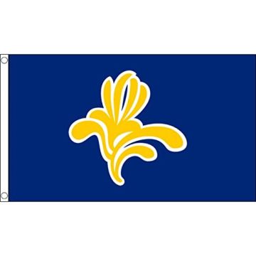 DRAPEAU BRUXELLES CAPITALE 150x90cm - DRAPEAU BRUXELLOIS 90 x 150 cm - DRAPEAUX