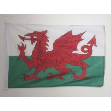 DRAPEAU PAYS DE GALLES 90x60cm - DRAPEAU GALLOIS 60 x 90 cm Spécial Extérieur - DRAPEAUX