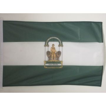 DRAPEAU ANDALOUSIE 90x60cm - DRAPEAU ANDALOUS - ANDALUCIA - ESPAGNE 60 x 90 cm Spécial Extérieur - DRAPEAUX