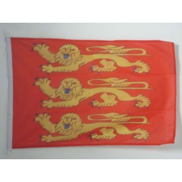 DRAPEAU HAUTE-NORMANDIE 90x60cm - DRAPEAU HAUT-NORMAND - FRANCE 60 x 90 cm Spécial Extérieur - DRAPEAUX