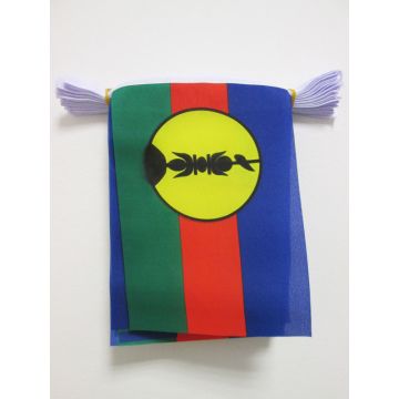 GUIRLANDE 6 mètres 20 DRAPEAUX NOUVELLE CALÉDONIE 21x15 cm - DRAPEAU NÉO-CALÉDONIEN 15 x 21 cm