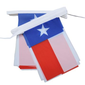 GUIRLANDE 6 mètres 20 DRAPEAUX TEXAS 21x15 cm - DRAPEAU TEXAN 15 x 21 cm