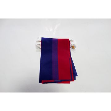 Guirlande 6 mètres 20 Drapeaux Bisexuel 21x15 cm - Drapeau bisexuel 15 x 21 cm