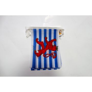 Guirlande 6 mètres 20 Drapeaux Luxembourg avec lion 21x15 cm - Drapeau luxembourgeois 15 x 21 cm