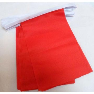 Guirlande 12 mètres 20 Drapeaux Unicolore Rouge 45x30 cm - Drapeau de couleur rouge 30 x 45 cm