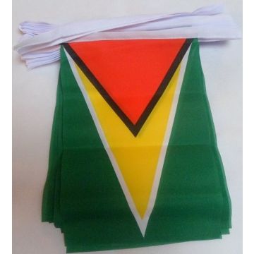 GUIRLANDE 6 mètres 20 DRAPEAUX GUYANA 21x15 cm - DRAPEAU GUYANIEN 15 x 21 cm