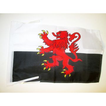 DRAPEAU POITOU-CHARENTES ALTERNATIF 45x30cm - PAVILLON PROVINCE DU POITOU - FRANCE 30 x 45 cm haute qualité