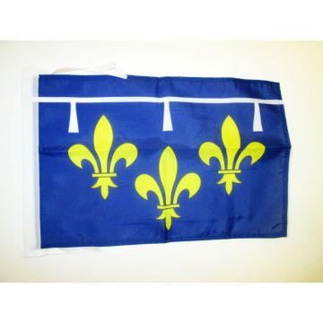 DRAPEAU PROVINCE ORLÉANAIS 45x30cm - PAVILLON ORLÉANS - FRANCE 30 x 45 cm haute qualité