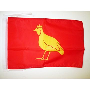 DRAPEAU PROVINCE D\'AUNIS 45x30cm - PAVILLON CHARENTE-MARITIME - FRANCE 30 x 45 cm haute qualité