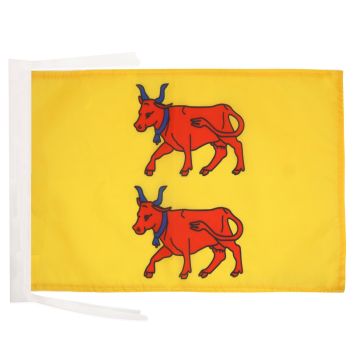 DRAPEAU PROVINCE DU BÉARN 45x30cm - PAVILLON PYRÉNÉES-ATLANTIQUES - FRANCE 30 x 45 cm haute qualité
