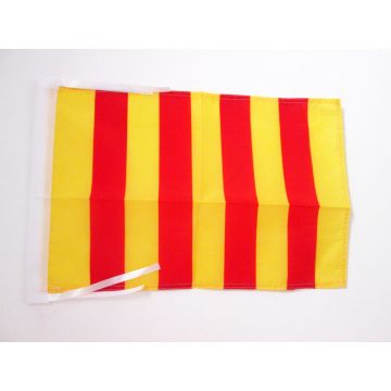 DRAPEAU COMTÉ DE FOIX 45x30cm - PAVILLON PROVINCE FRANCE - ARIÈGE 30 x 45 cm haute qualité