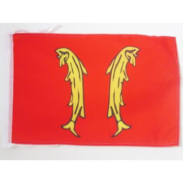 DRAPEAU PRINCIPAUTÉ DE MONTBÉLIARD 45x30cm - PAVILLON DE MONTBÉLIARD 30 x 45 cm haute qualité