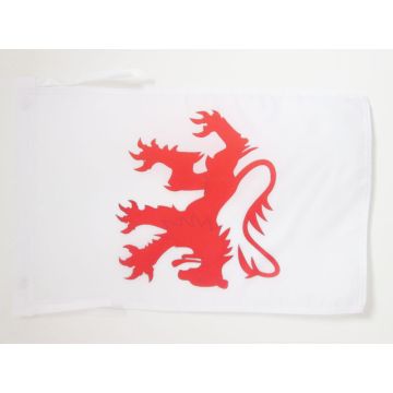 DRAPEAU GERS 45x30cm - PAVILLON DÉPARTEMENT FRANÇAIS - MIDI-PYRÉNÉES 30 x 45 cm haute qualité