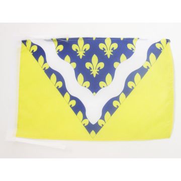DRAPEAU VAL-DE-MARNE 45x30cm - PAVILLON DÉPARTEMENT FRANÇAIS - ÎLE-DE-FRANCE 30 x 45 cm haute qualité