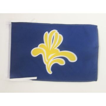DRAPEAU BRUXELLES CAPITALE 45x30cm - PAVILLON BRUXELLOIS 30 x 45 cm haute qualité