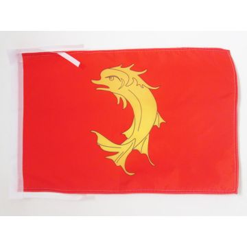 DRAPEAU COMTÉ DE FOREZ 45x30cm - PAVILLON FORÉZIEN - SAINT-ETIENNE 30 x 45 cm haute qualité