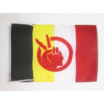 DRAPEAU AMERICAN INDIAN MOVEMENT 45x30cm - PAVILLON MOUVEMENT DES INDIENS D?AMÉRIQUE 30 x 45 cm haute qualité