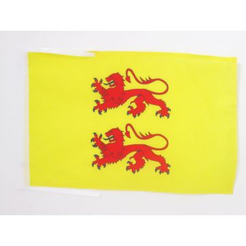 DRAPEAU COMTÉ DE BIGORRE 45x30cm - PAVILLON DUCHÉ DE GASCOGNE 30 x 45 cm haute qualité