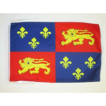 DRAPEAU LANDES 45x30cm - PAVILLON DÉPARTEMENT LANDAIS 30 x 45 cm haute qualité