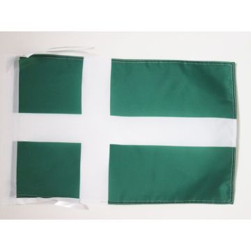 DRAPEAU PORTO RICO INDÉPENDANTISTE 45x30cm - PAVILLON DU PARTI INDÉPENDANTISTE PORTORICAIN 30 x 45 cm haute qualité