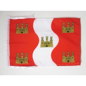 DRAPEAU VIENNE 45x30cm - PAVILLON DÉPARTEMENT VIENNOIS 30 x 45 cm haute qualité