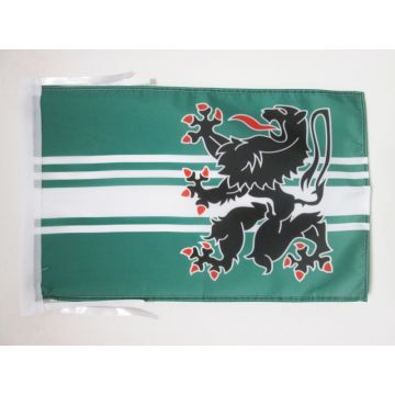 DRAPEAU PROVINCE DE FLANDRE ORIENTALE 45x30cm - PAVILLON DE OOST-VLAANDEREN 30 x 45 cm haute qualité