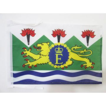 DRAPEAU ETENDARD ROYAL DE SIERRA LEONE 1961-1971 45x30cm - PAVILLON DI ROYAUME SIERRA LEONAIS 30 x 45 cm haute qualité