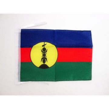 DRAPEAU NOUVELLE CALÉDONIE 45x30cm - PAVILLON NÉO-CALÉDONIEN - FRANCE 30 x 45 cm haute qualité