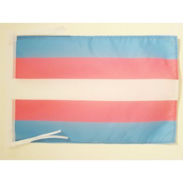 DRAPEAU ARC-EN-CIEL TRANSGENRE 45x30cm - PAVILLON TRANGENDER - RAINBOW 30 x 45 cm haute qualité