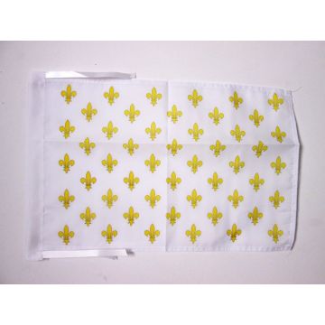 DRAPEAU FLEUR DE LYS BLANC ET OR 45x30cm - PAVILLON ROYAL FRANÇAIS 30 x 45 cm haute qualité