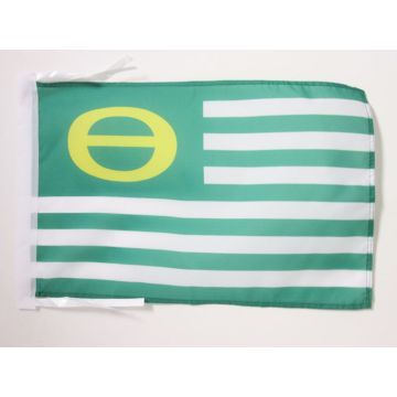 DRAPEAU ECOLOGISTE 45x30cm - PAVILLON ÉCOLOGIQUE - VERT 30 x 45 cm haute qualité