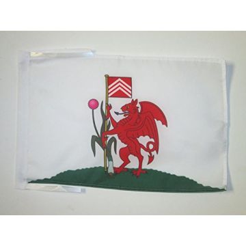 DRAPEAU CARDIFF 45x30cm - PAVILLON PAYS DE GALLES 30 x 45 cm haute qualité