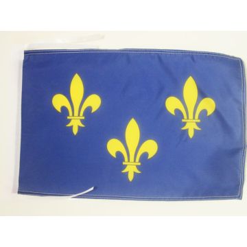 DRAPEAU 3 FLEUR DE LYS BLEU ET OR 45x30cm - PAVILLON ROYAUME DE FRANCE 30 x 45 cm haute qualité