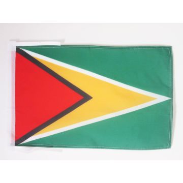 DRAPEAU GUYANA 45x30cm - PAVILLON GUYANIEN 30 x 45 cm polyester léger
