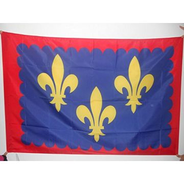 DRAPEAU PROVINCE D\'ANJOU 90x60cm - DRAPEAU ANGERS - FRANCE 60 x 90 cm Fourreau pour hampe