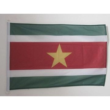 DRAPEAU SURINAME 90x60cm - DRAPEAU SURINAMIEN 60 x 90 cm Spécial Extérieur - DRAPEAUX